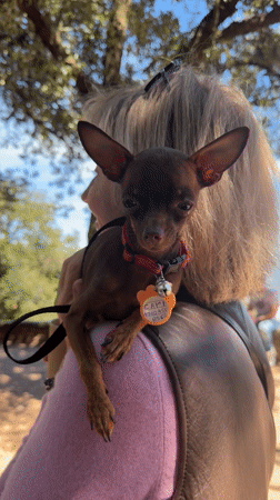 Outdoor gathering with dogs and champagne in Monistrol de Montserrat