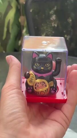 The video displays a close-up shot of a black maneki-neko figurine inside a clear plastic case. The figurine is black with pink accents on its ears, collar, and paws. It sits on a red base and holds a golden coin with Japanese characters in its left paw. In front of the figurine is a golden daruma doll with a red face. The figurine's right paw is raised and appears to be in a waving motion. The video is held by a person whose hands are visible in the foreground. The background is blurred and appears to be outdoors, with hints of green foliage.