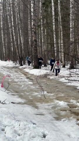 Several people are running through a snowy, wooded area that is partially covered in ice and water.  The runners wear athletic clothing and numbers, suggesting they're participating in a race. The path is lined with bare birch trees and marked with red tape. Other runners can be seen further up the path.