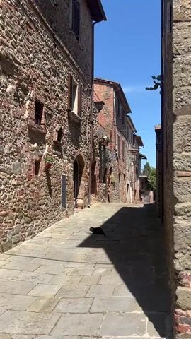 The video shows a narrow cobblestone street in an old European town on a sunny day. The buildings lining the street are made of stone and brick, with some having window boxes filled with plants. A black cat is standing in the middle of the street. The sky is blue and mostly clear.