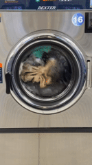 Commercial washing machine operates with colorful clothes in New York