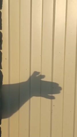 The video shows a shadow of a hand on a beige corrugated metal wall. The shadow is cast by a light source to the left of the frame, and it appears to be making a shadow puppet that resembles a dog. The shadow puppet is in the center of the frame and is moving slightly, with the fingers of the hand changing position to create the illusion of movement. The wall has vertical lines and is slightly textured. There are a few small dark spots on the wall, possibly dirt or imperfections. The overall lighting suggests it is daytime.