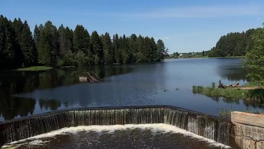 The video shows a serene landscape featuring a small dam spilling into a body of water surrounded by lush green trees under a clear blue sky. The dam is a low, man-made structure with water cascading over its edge in a curtain-like effect. The water below the dam is bubbly and foamy. Beyond the dam is a calm lake or pond reflecting the surrounding trees.  In the distance, a few small houses or buildings are visible near the edge of the water. There's a partially submerged wooden structure in the lake and a grassy bank to the right. The scene is peaceful and still, emphasizing the natural beauty of the environment.