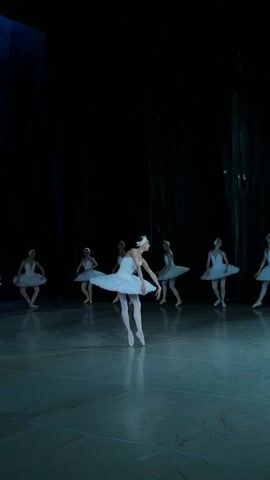 A group of ballerinas dressed as swans perform on a dark stage. The lead ballerina is in the foreground, center, wearing a white tutu and a swan-like headdress. Her arms are outstretched and her body is arched backward. Behind her, other ballerinas in similar costumes are arranged in a semi-circle, some also with arms extended. The stage floor is a reflective, blue-toned surface. The background is a dark, almost black curtain or backdrop, with hints of ornate texture visible on the right side. The lighting is dramatic, focusing on the dancers and creating shadows.