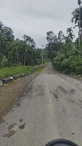 The video shows a first-person perspective of someone traveling on a dirt road. The road is surrounded by lush green vegetation and trees, including palm trees. There is a small body of water on the left side of the road, with a low wall made of rocks and cement. Electrical poles and wires are visible along the road. The sky is overcast and cloudy. The road surface is rough and appears to be unpaved, with visible gravel and patches of wetness. The scene suggests a rural or natural environment.