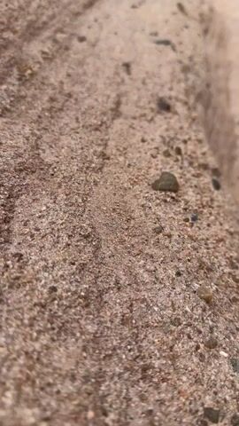 The video begins with a close-up shot of sandy ground, revealing small pebbles and grains of sand. As the camera pans, a dark, elongated object, possibly an insect or a small creature, is seen moving across the sand. The perspective then shifts to a wider view, showing a narrow canyon with towering, textured sandstone walls. The walls exhibit distinct layers and striations, indicative of erosion. The ground within the canyon is also composed of sand and small stones. The camera continues to move upwards, revealing more of the canyon's structure and the overcast sky above. The overall environment appears arid and rugged.