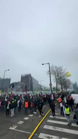 A large group of people are gathered on a city street, with modern buildings under construction in the background. Many people are holding green flags, and some are wearing orange vests. There are yellow and green balloons in the air, and a small explosion occurs in the middle of the crowd, creating smoke. The sky is overcast, and the street is marked with yellow lines and a crosswalk. The crowd appears to be participating in a demonstration or protest.