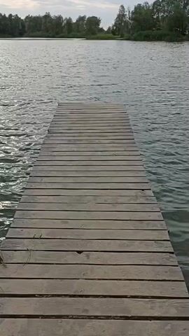 The video shows a wooden pier extending into a body of water. The pier is made of weathered planks and is oriented vertically in the frame, leading the viewer's eye towards the water. The water is rippling, with sunlight reflecting off its surface. In the background, a tree line with lush green foliage borders the far side of the water. The sky above appears overcast, with a soft, diffused light. The scene is tranquil and natural, suggesting an outdoor setting, likely a lake or river.