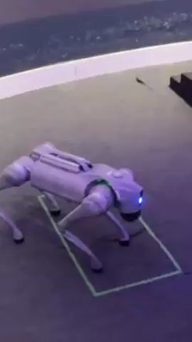 A gray, four-legged robot is standing inside a green square painted on a gray surface. The robot has a blue light on its front and a green light on its back. The robot is moving its legs, but not moving forward. There is a white curved border visible, and a dark object to the right of the square. The background is blurry.