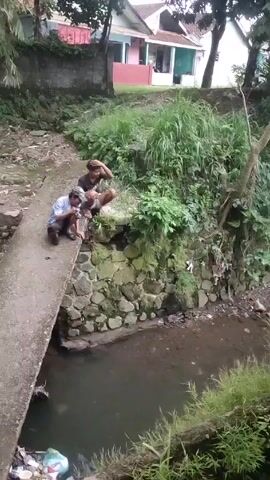 Two young men are on a concrete bridge over a small stream. One is crouching near the edge, apparently examining something in the water, while the other sits nearby. The stream is bordered by a rock wall on one side, covered in moss and vegetation, and grass on the other. Behind them, there is a house and some trees.
