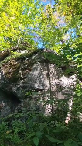 The video pans down a forest path toward a large rock formation covered in moss. Sunlight filters through the leaves of trees overhead, casting dappled shadows on the rock and path. A fallen tree trunk lies across the top of the rock formation, extending out of frame. Green foliage surrounds the rock and lines the path. The sky is visible through the trees, appearing blue with some clouds.