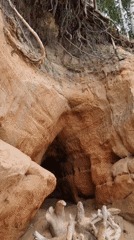 Carved sandstone cliffs and eroded beach formations at Ķurmrags