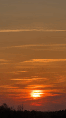 Witness documents sunset views and indoor abstract painting scene