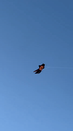 Morning beach recreation with kite flying in Denpasar