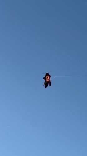 Morning beach recreation with kite flying in Denpasar