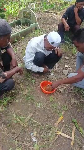 A group of men are gathered in a graveyard. An elderly man wearing a white skullcap and a white shirt is crouched down, holding a piece of food in an orange bowl. Another man, wearing a grey t-shirt, is standing next to him, holding a knife and assisting the elder. Two other men are seated in the background, and another man is standing on the right side of the frame. The graveyard appears to be overgrown with grass and scattered with gravestones.