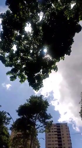 Bright sun observed through trees and clouds in Caracas