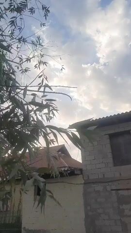 The video shows a tree with green leaves in the foreground, obscuring the view of two buildings behind it. The sky above is cloudy. The building on the left is light-colored with a red, corrugated roof and a small, dark window opening. The building on the right is made of grey cinder blocks and appears to be unfinished, with a dark window opening. The leaves of the tree are swaying gently, suggesting a light breeze. The lighting indicates it is daytime, possibly late afternoon or early morning given the soft light and cloudy sky.