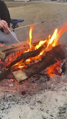 A person is holding two sticks over a campfire. The fire is burning wood and there are ashes and sand on the ground. In the background, there is a blurred out person in a camping chair and some trees and a building.
