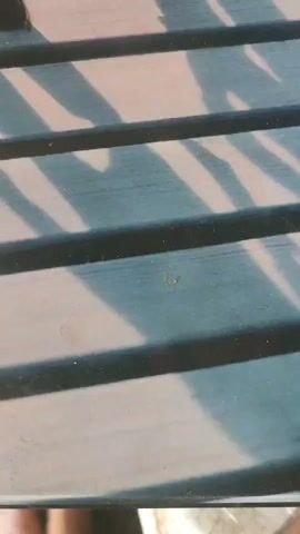 The video shows two dolls, a girl and a boy, standing on a wooden boardwalk. The girl doll has long black hair, big eyes, and is wearing a white jacket with black buttons and black shorts. She also has on black boots. The boy doll has on a black shirt and black pants, and black shoes. He is wearing a red cap. They are standing next to each other, with the girl on the left and the boy on the right. The boardwalk is made of parallel wooden planks, and there are shadows cast across it, suggesting it is daytime, likely sunny. The lighting appears bright, and the shadows are long and distinct. The scene seems to be outdoors, possibly by the water given the boardwalk. The dolls are positioned facing forward, and their expressions are neutral. There is no visible text in the video. The overall impression is a still, posed shot of these two dolls in an outdoor setting.