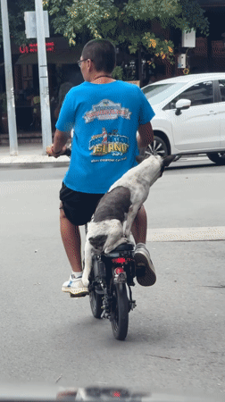 Morning street traffic documented in Nha Trang Ward