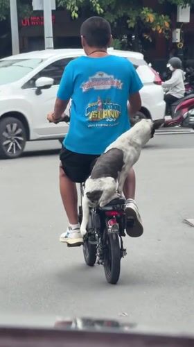 Morning street traffic documented in Nha Trang Ward