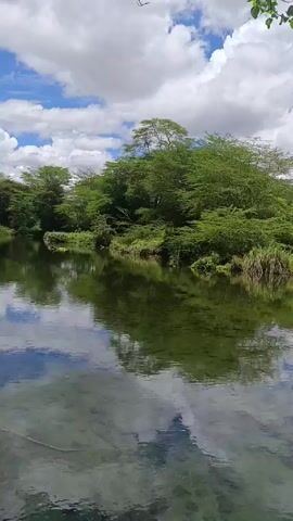 The camera pans across a placid body of water reflecting a partly cloudy sky. Dense green foliage lines the banks of the water. The camera then focuses on a simple shelter with a thatched roof perched over the water. Several people are visible on the shelter, including one person wearing jeans, a dark T-shirt, and a baseball cap who is looking at a mobile phone. The camera then pans back, showing the water and the lush surroundings.