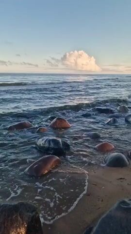 The video shows a view of a rocky beach and the sea. Waves are gently washing over a sandy shore strewn with various-sized, smooth rocks. The water is a deep blue, and a large, fluffy white cloud is visible in the sky above the horizon. The lighting suggests it is either sunrise or sunset. There are no people or animals visible.