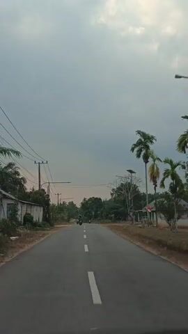 A vertical video shows a view from a vehicle moving along a paved road in a rural area. The road has a white dashed line down the center and is flanked by dry grass and dirt on either side. Power lines stretch across the top left of the frame. Several motorcycles are visible on the road ahead, traveling in the same direction. On the right side of the road, there are houses and palm trees. The sky is overcast and appears to be a pale gray.