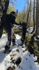 Two skiers traverse snowy forest slopes in Abkhazia