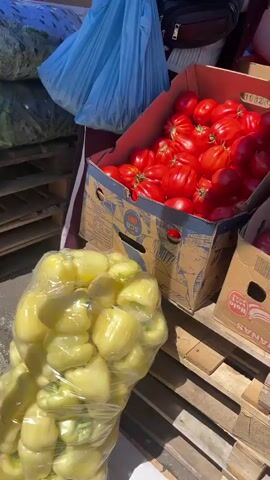 The video shows an outdoor market stall displaying fresh produce. In the foreground, a large cardboard box is filled with vibrant red tomatoes. To the left of the tomatoes, a clear plastic bag is packed with bright yellow bell peppers. Behind these, a large green object, possibly a watermelon, is partially visible. To the right of the red tomatoes, another cardboard box contains smaller, deep pink or purple tomatoes. In the background, a person is seen holding a blue plastic bag and a smartphone. Another person, wearing a striped shirt, appears to be attending the stall and handling some of the produce. Wooden pallets are used as a base for some of the displays. The overall environment suggests a sunny day at a farmers' market or grocery store.