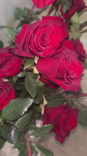 Young man with roses documented in Bulgarian home setting