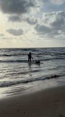 Person and dog enjoy ocean time at Bat Yam beach