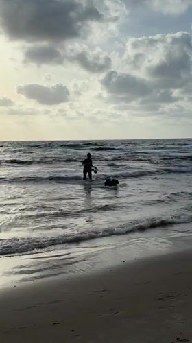 Person and dog enjoy ocean time at Bat Yam beach