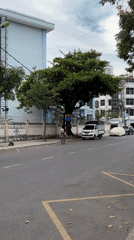 Squirrel on the wires, street life below — Nha Trang
