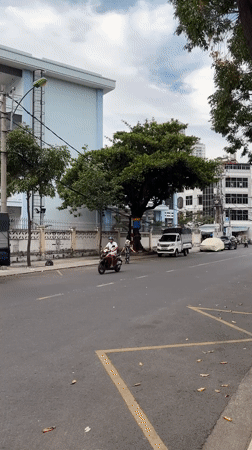 Squirrel on the wires, street life below — Nha Trang