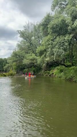 The video captures an outdoor scene on a river with green, slightly murky water. On both sides of the river, the banks are densely covered with various green trees. Several large, fallen tree branches are partially submerged in the water near the right bank. Two individuals are visible in the foreground on inflatable stand-up paddleboards or small rafts. One person, wearing a bright orange or red long-sleeved shirt and dark pants, is standing on a paddleboard in the center, holding a paddle. Another person, dressed in a dark shirt, is on a separate paddleboard closer to the fallen branches on the left. A third person is partially visible behind the individual in the red shirt. The sky is overcast.