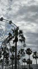 Ferris wheel and palm trees captured under cloudy skies in Spain