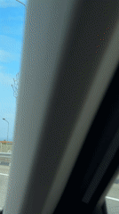 Morning scenes captured in Sochi: bridge crossing, woman by signage