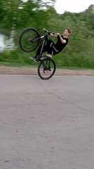 Everyday moments captured: cycling children, cat, water, selfie, sunset