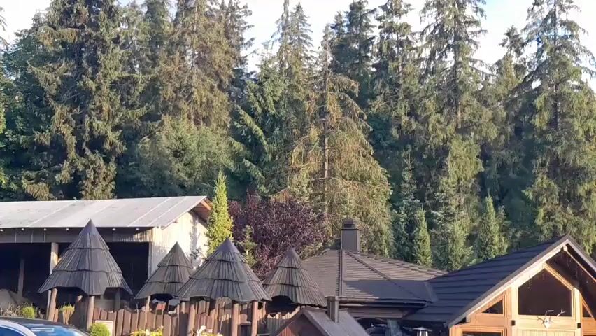 The video shows a view of several buildings with conical roofs in the foreground, set against a backdrop of a dense forest. The buildings appear to be made of wood and metal, with some featuring pitched roofs. There are several conical structures with dark, shingled roofs, possibly decorative elements or small sheds. Behind these structures, a larger building with a grey metal roof is visible. Further back, a house with a dark-tiled roof and wooden architectural elements is seen. The forest consists of tall evergreen trees, with sunlight filtering through the branches. The overall impression is of a rustic or resort-like setting in a forested area.