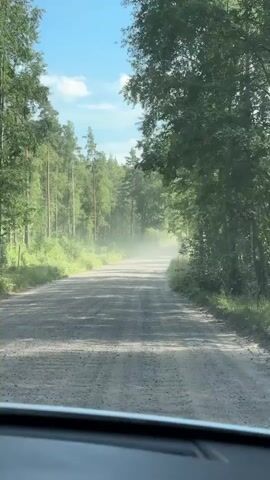 The video shows a dirt road going through a forest. The road is covered in dust, suggesting that a vehicle has recently passed. The trees on either side of the road are tall and green. The sky is blue with some clouds. The camera appears to be inside a vehicle, looking out the windshield.