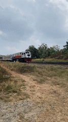 Train passes rural Java as a Muscovy duck roams nearby