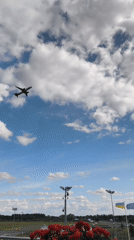 Afternoon tea and plane-watching at Tallinn Airport's edge