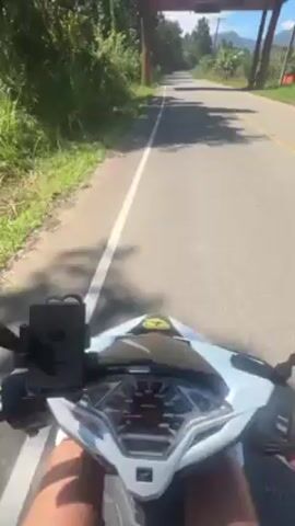 The video shows a first-person perspective from a person riding a white scooter on a paved road. The road is surrounded by green trees and vegetation on both sides. In the distance, there is a large, ornate archway painted in red, white, and gold colors, which the scooter approaches and passes under. The sky is clear and blue.