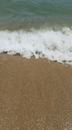 Varna's Black Sea beach scene with military history stops nearby