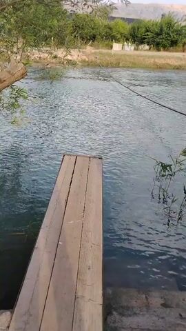 A close-up, low-angle video shows a wooden diving board extending into a river. The water is clear and flowing, with some debris visible near the edge. A tree with thick branches dips into the river on the left side of the frame. In the background, there are trees and vegetation on the riverbank, and some structures, possibly buildings, can be seen further in the distance. The sky is visible at the top, suggesting it is daytime. The overall scene appears to be a natural outdoor setting, likely a recreational area by a river. The video pans slightly to the right, revealing more of the river and the overhanging tree. The lighting suggests it might be late afternoon or early morning, given the warm tones. There are no people visible, but the presence of the diving board implies human activity. The atmosphere feels tranquil and serene.