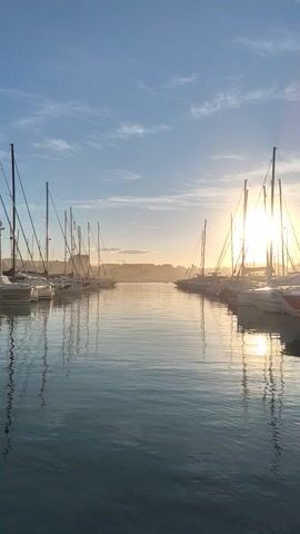 The camera captures a serene harbor scene at sunrise or sunset, likely filmed on a mobile device, as indicated by the vertical orientation. A multitude of sailboats are docked, their masts forming a dense, linear pattern against the light. The masts extend into the sky, piercing through scattered clouds and creating silhouetted profiles against the bright light source behind them. The water's surface is relatively still, reflecting the light and the masts, creating mirrored images. A person's voice can be heard, suggesting their presence nearby. The overall mood is peaceful and tranquil, emphasizing the beauty of the natural light.