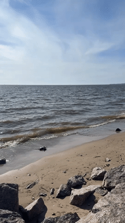 Sunny beach day documented in Kronstadt, Russia coastal scenes