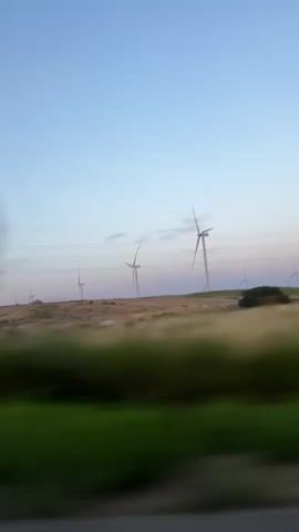 A low-angle, slightly shaky, vertical video footage captures a landscape with multiple wind turbines silhouetted against a pale blue and pink sky. The turbines are spread across a rolling, dry, grassy hillside. In the foreground, a blurred strip of green vegetation rushes past, indicating movement, likely from a vehicle. A road with a gray surface and a red-painted lane marker is visible at the bottom of the frame. Overhead power lines stretch horizontally across the midground, connecting to a tall, lattice-like tower on the left side of the frame. The overall scene suggests a breezy, open environment, possibly at dawn or dusk.